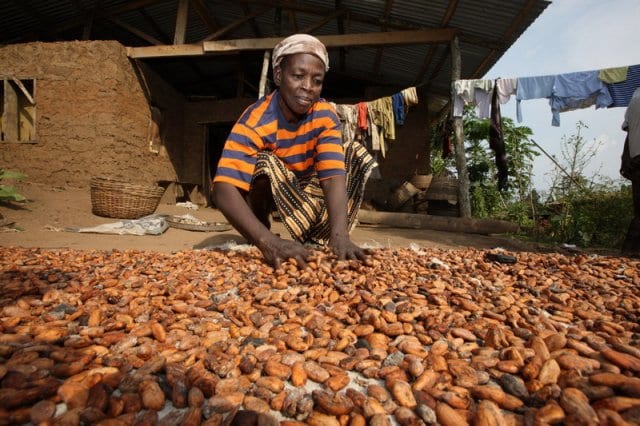 nigeria-cocoa-fairtrade-pic