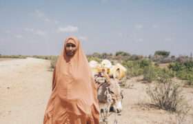 Woman returns home after fetching water
