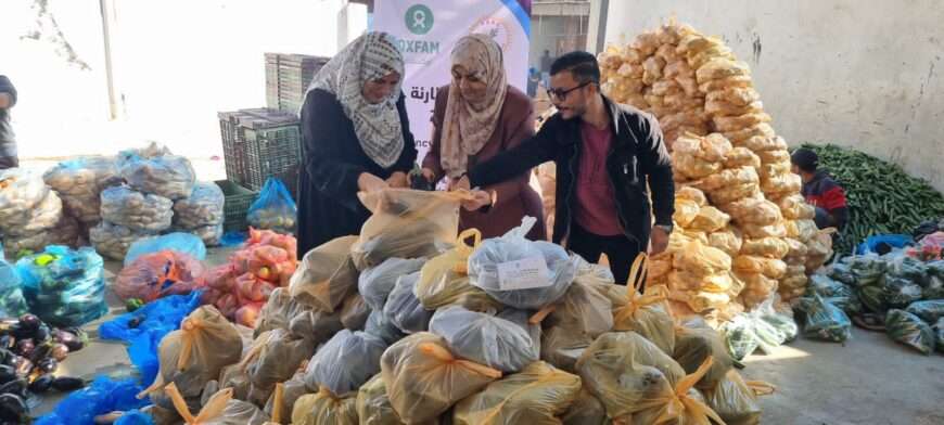 Vegetables Parcels distribution in Gaza