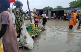 Flooded market in South Sudan