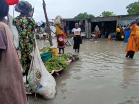 Flooded market in South Sudan