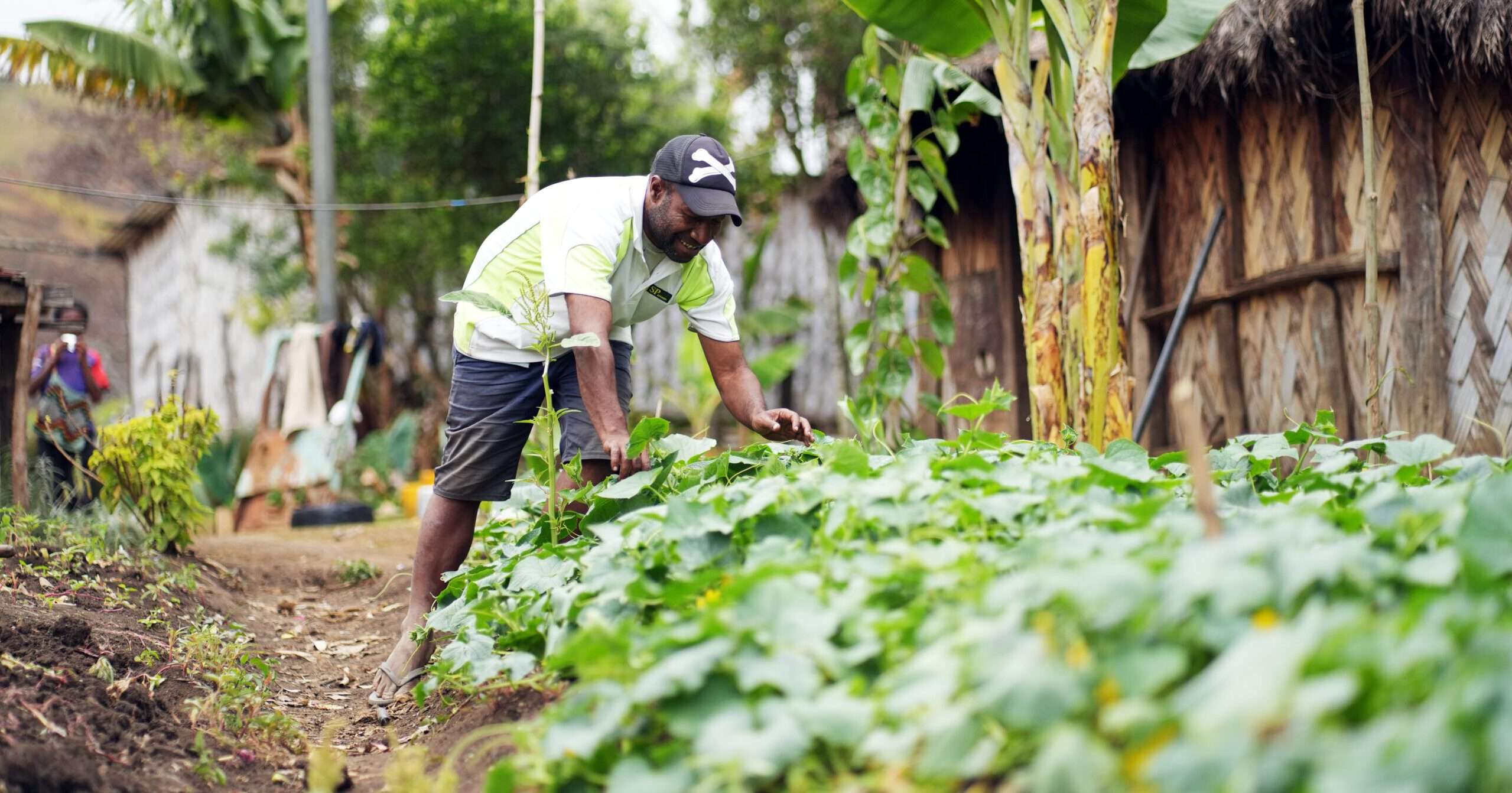 FLOW project in PNG