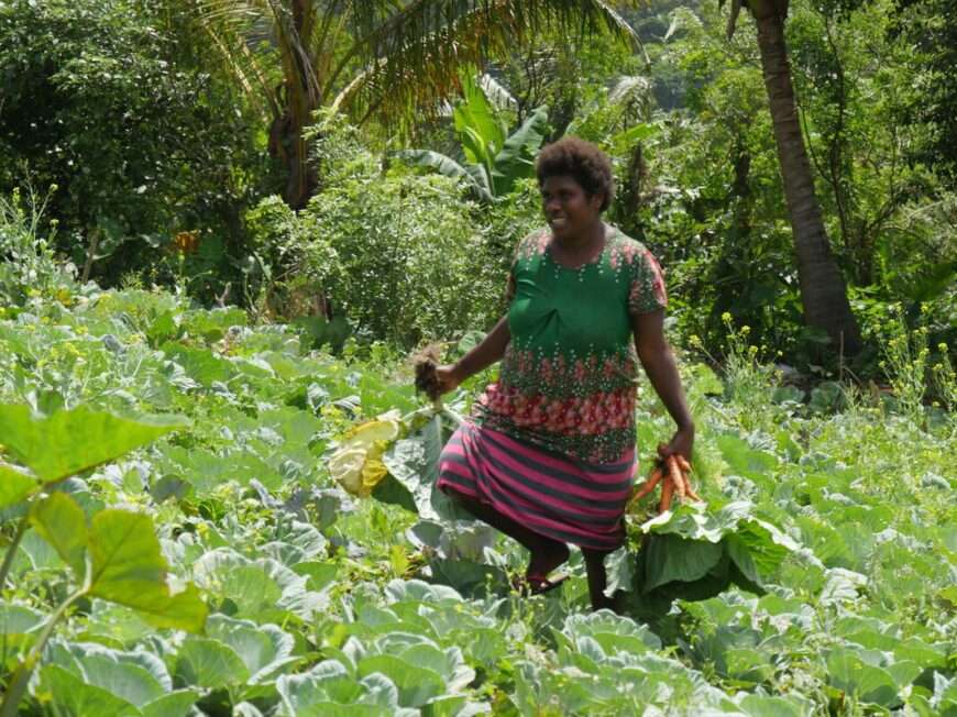 Woman farmer in rural Vanuatu