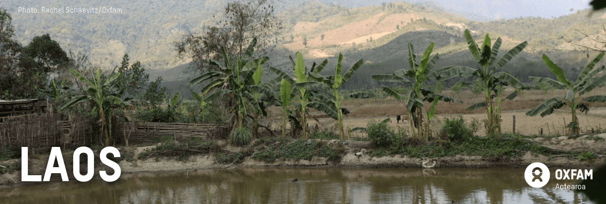 Duck Pond in Laos