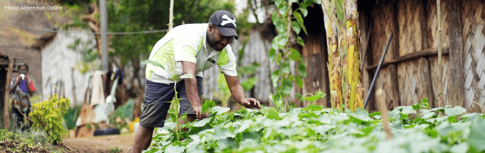 Footer banner of farmer harvesting from home garden